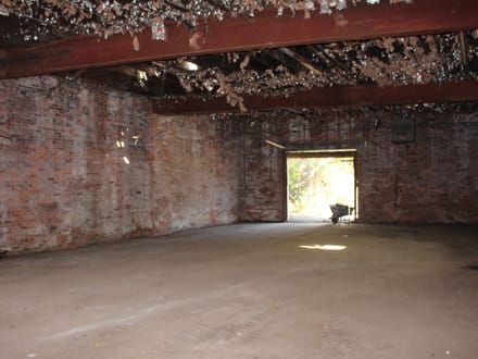 113 Chiz St., Shaw, MS