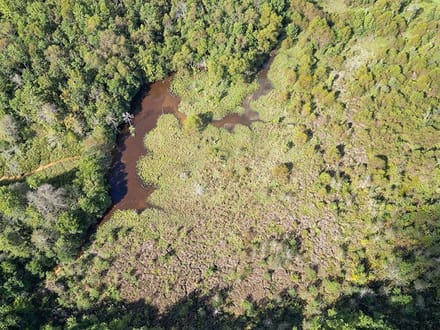 JO248 - Jasper County Land & Timber Sale Bid 