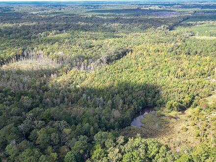 JO248 - Jasper County Land & Timber Sale Bid 