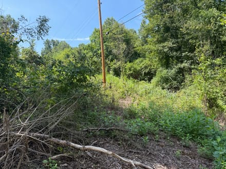 1 Acre on McDearmon Road with Public Water Access - Bedford County, Virginia