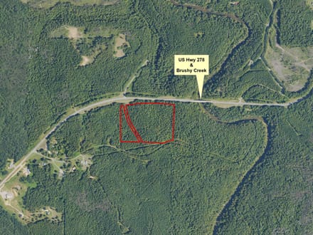 31 ac Hwy 278 Winston County