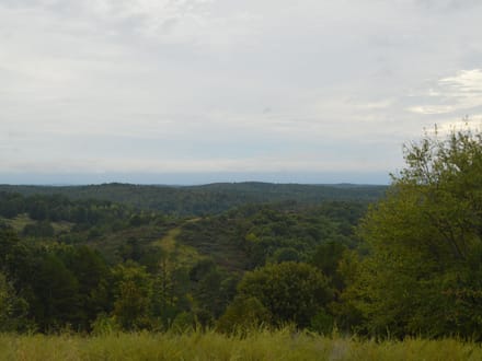 136+/- Acres of Ozark Beauty | Pasture, Spring & Stunning Views