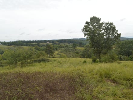 136+/- Acres of Ozark Beauty | Pasture, Spring & Stunning Views
