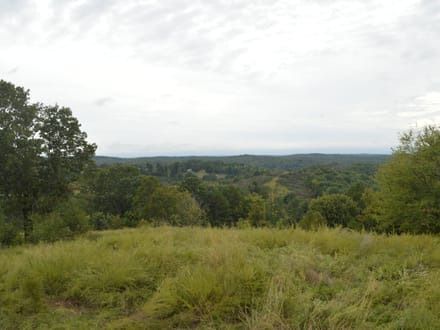 136+/- Acres of Ozark Beauty | Pasture, Spring & Stunning Views