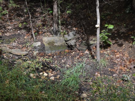 136+/- Acres of Ozark Beauty | Pasture, Spring & Stunning Views