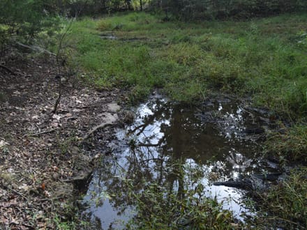 136+/- Acres of Ozark Beauty | Pasture, Spring & Stunning Views