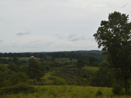 136+/- Acres of Ozark Beauty | Pasture, Spring & Stunning Views