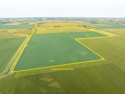 200 +/- Acres, Bigelow Township, Nobles County, MN