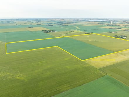 200 +/- Acres, Bigelow Township, Nobles County, MN