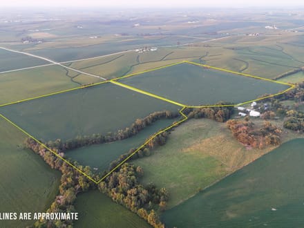 91.93 +/- Acres Dubuque County, IA