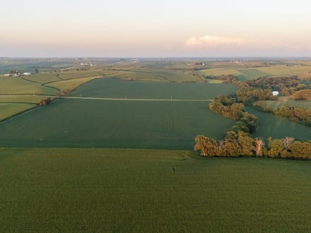91.93 +/- Acres Dubuque County, IA