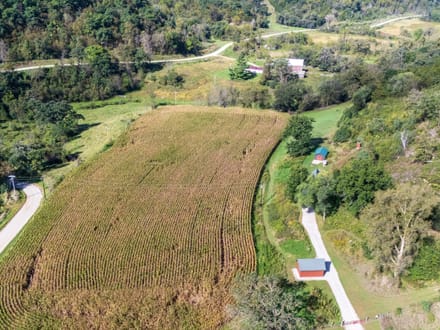 73.61 +/- Acres Allamakee County, IA