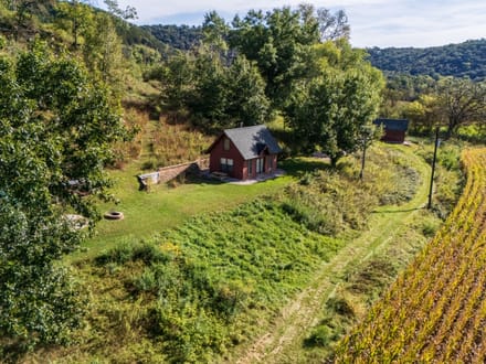 73.61 +/- Acres Allamakee County, IA