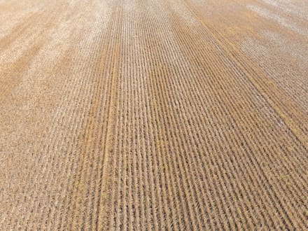 162.5 +/- Acres, Galena Township, Martin County, MN