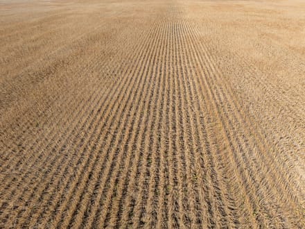 162.5 +/- Acres, Galena Township, Martin County, MN
