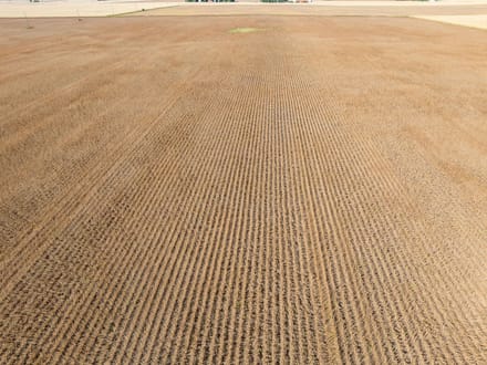 162.5 +/- Acres, Galena Township, Martin County, MN