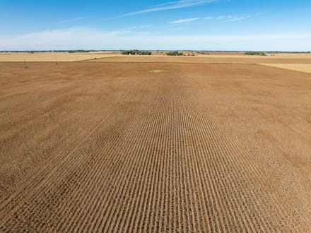 162.5 +/- Acres, Galena Township, Martin County, MN