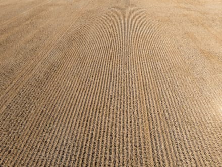 162.5 +/- Acres, Galena Township, Martin County, MN