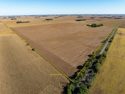 162.5 +/- Acres, Galena Township, Martin County, MN