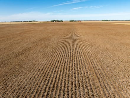 162.5 +/- Acres, Galena Township, Martin County, MN