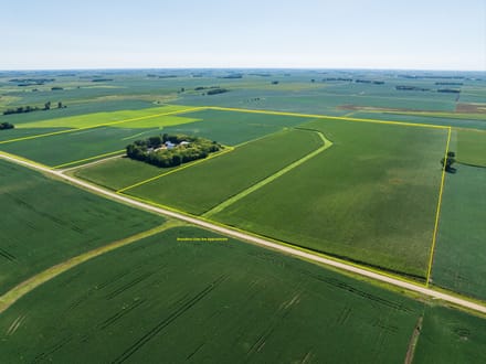 149.08+/- Acres, Dewald Township, Nobles County, MN