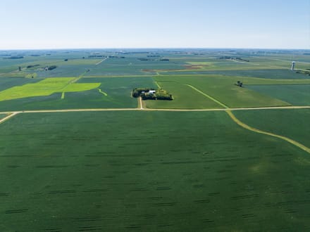 149.08+/- Acres, Dewald Township, Nobles County, MN