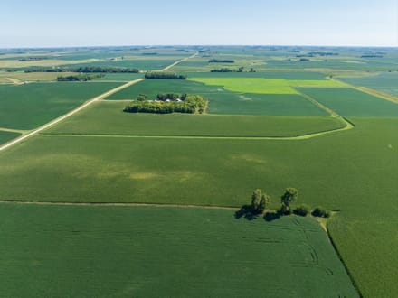 149.08+/- Acres, Dewald Township, Nobles County, MN