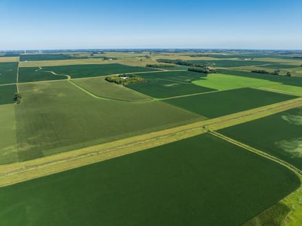 149.08+/- Acres, Dewald Township, Nobles County, MN
