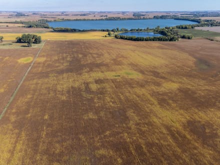163.4 +/- Acres, Graham Lakes Township, Nobles County, MN