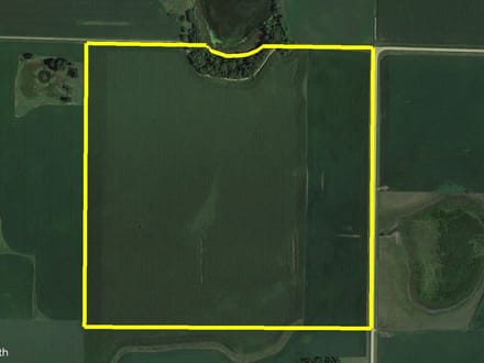 163.4 +/- Acres, Graham Lakes Township, Nobles County, MN