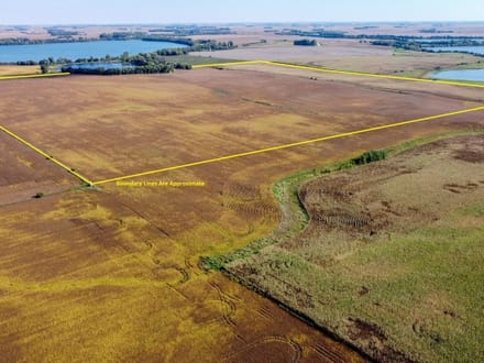 163.4 +/- Acres, Graham Lakes Township, Nobles County, MN