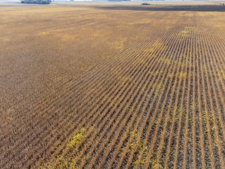 163.4 +/- Acres, Graham Lakes Township, Nobles County, MN