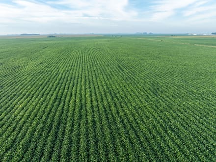 163.4 +/- Acres, Graham Lakes Township, Nobles County, MN