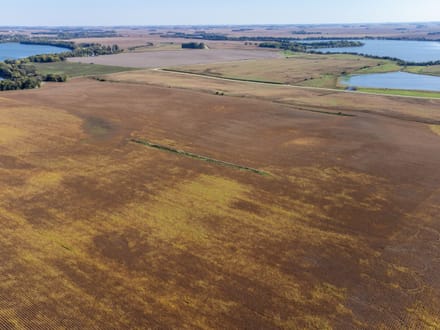 163.4 +/- Acres, Graham Lakes Township, Nobles County, MN