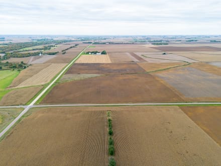 80+/- ACRES, UNDERWOOD TOWNSHIP, REDWOOD COUNTY, MN