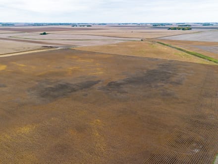 80+/- ACRES, UNDERWOOD TOWNSHIP, REDWOOD COUNTY, MN