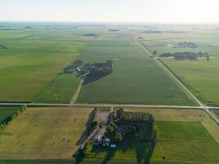 150.38 +/- Acres, Brighton Township, Nicollet County, MN
