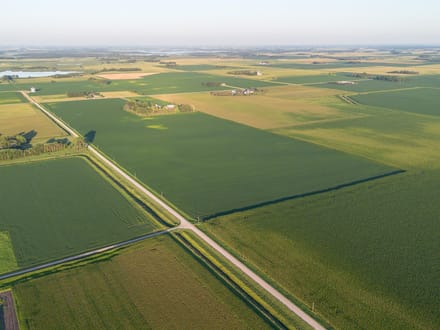 150.38 +/- Acres, Brighton Township, Nicollet County, MN
