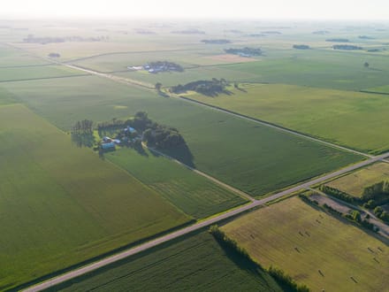 150.38 +/- Acres, Brighton Township, Nicollet County, MN