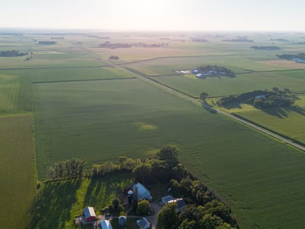 150.38 +/- Acres, Brighton Township, Nicollet County, MN