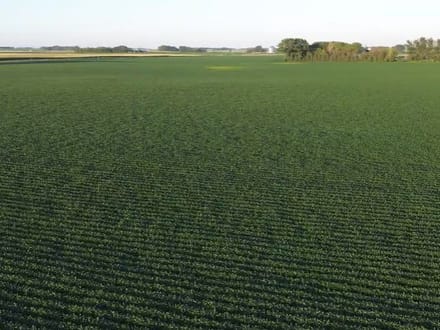 150.38 +/- Acres, Brighton Township, Nicollet County, MN