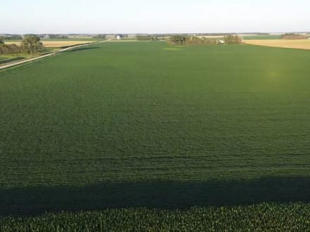 150.38 +/- Acres, Brighton Township, Nicollet County, MN