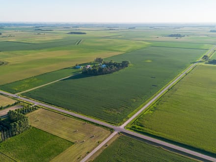 150.38 +/- Acres, Brighton Township, Nicollet County, MN