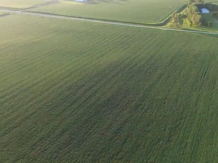 150.38 +/- Acres, Brighton Township, Nicollet County, MN