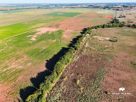 Washita River Bottom 130