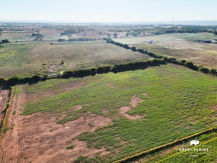Washita River Bottom 130