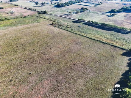Washita River Bottom 130
