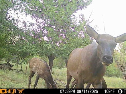 North Custer/Dewey County 160
