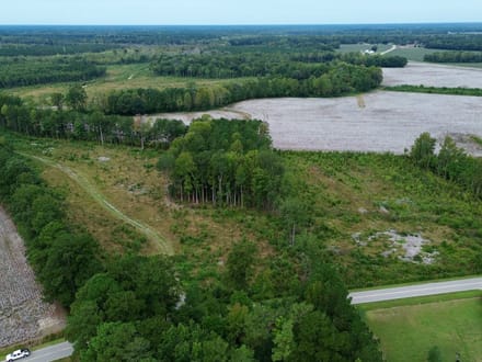 Bertie County Recreational Timber Tract