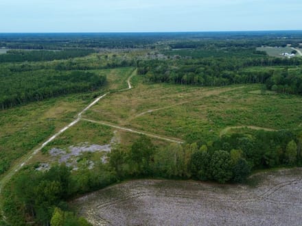 Bertie County Recreational Timber Tract